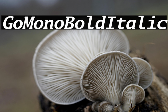 Go Mono Bold Italic Example 3