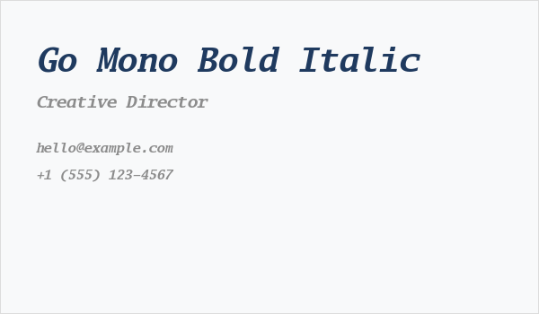 Go Mono Bold Italic Business Card