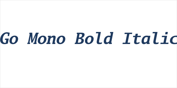 Go Mono Bold Italic Logo