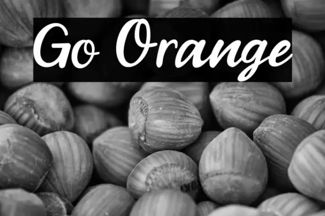 Go Orange Font examples