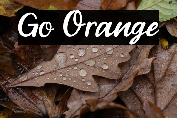 Go Orange Example 2