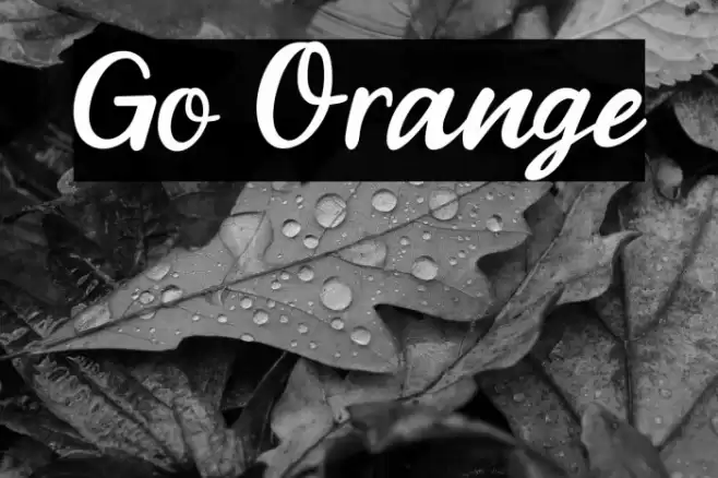 Go Orange Font examples