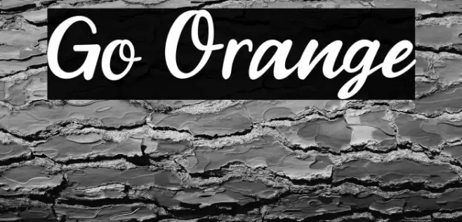 Go Orange Font examples