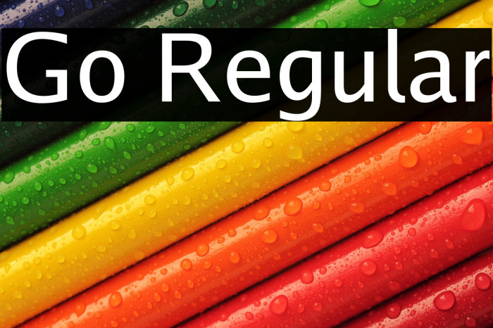 Go Regular Example 1
