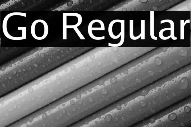 Go Regular Font examples