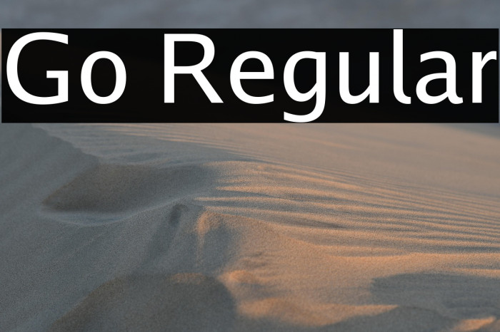 Go Regular Example 3