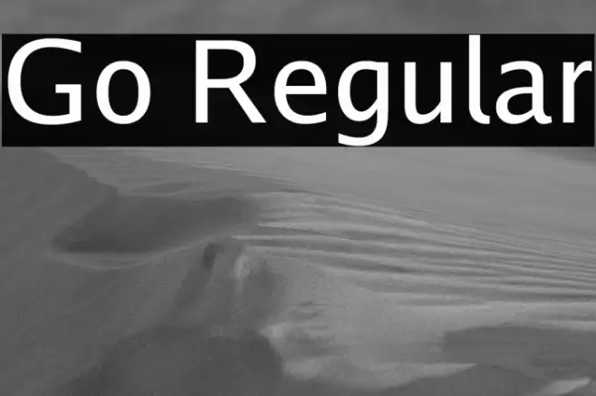 Go Regular Font examples