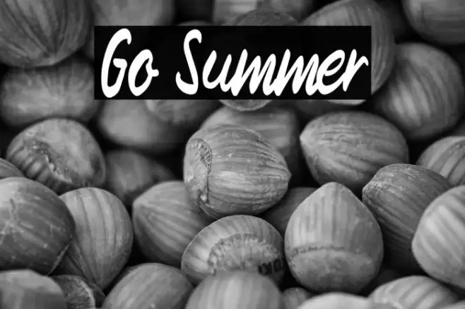 Go Summer Font examples