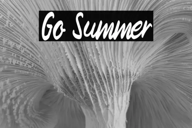 Go Summer Font examples