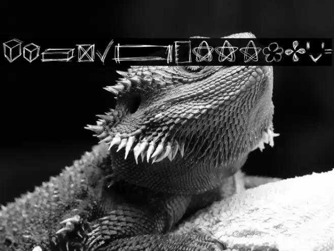 Go around the books 2022 symbol Шрифта examples