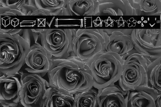 Go around the books 2022 symbol Шрифта examples