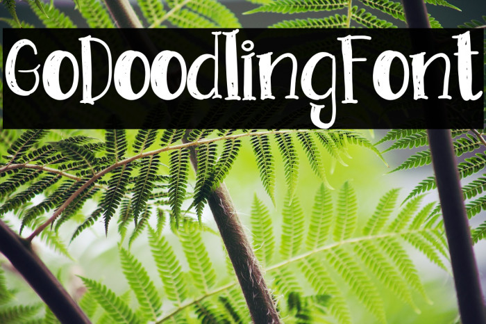GoDoodlingFont Font examples