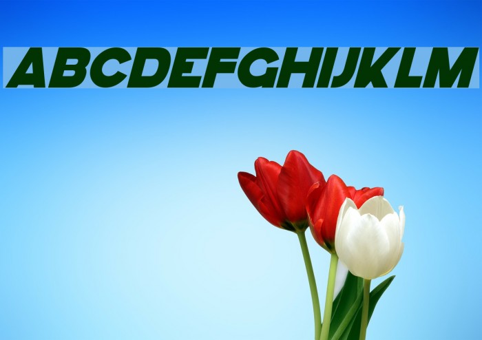 GoGo Hack Italic Font examples