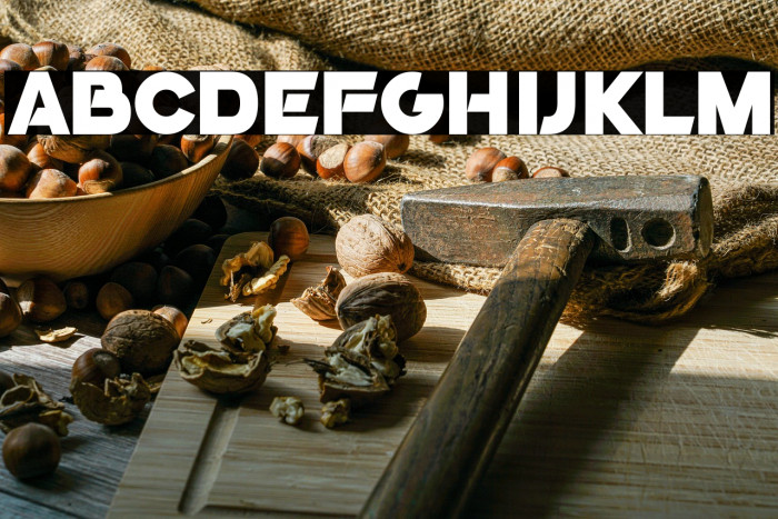 GoGo Poster 2020 Example 1