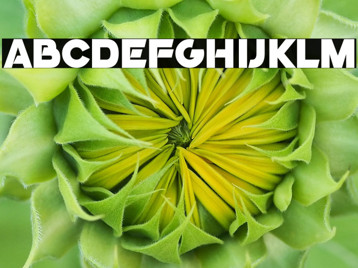 GoGo Poster 2020 Example 2