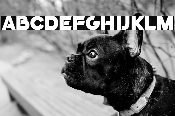 GoGo Poster 2020 Example 3