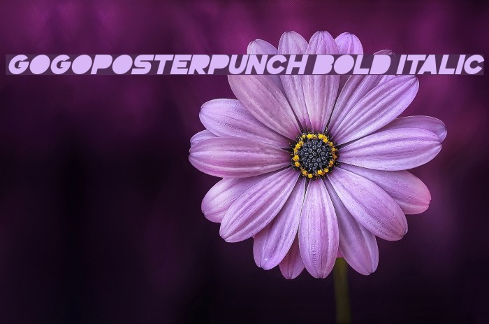 GoGoPosterPunch Bold Italic Font examples