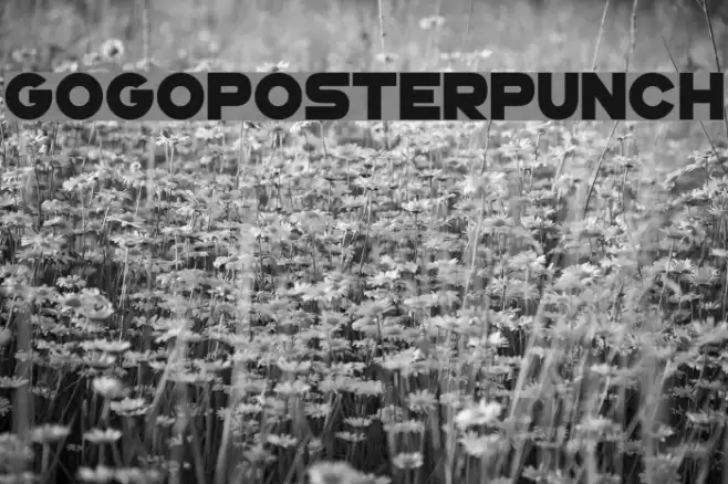 GoGoPosterPunch Font examples