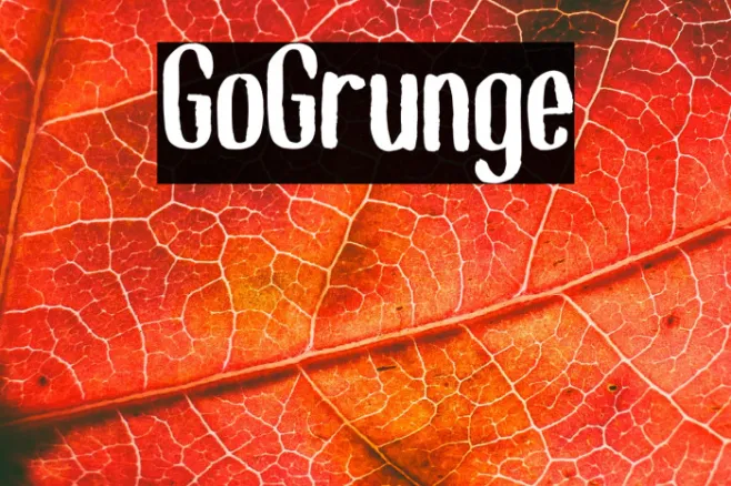 GoGrunge Example 2