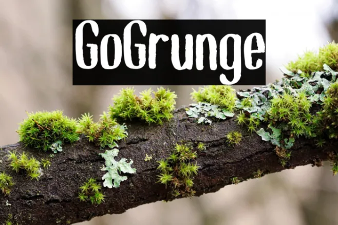 GoGrunge Example 3