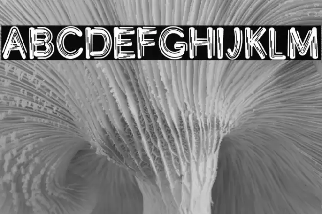 GoRetro Font examples