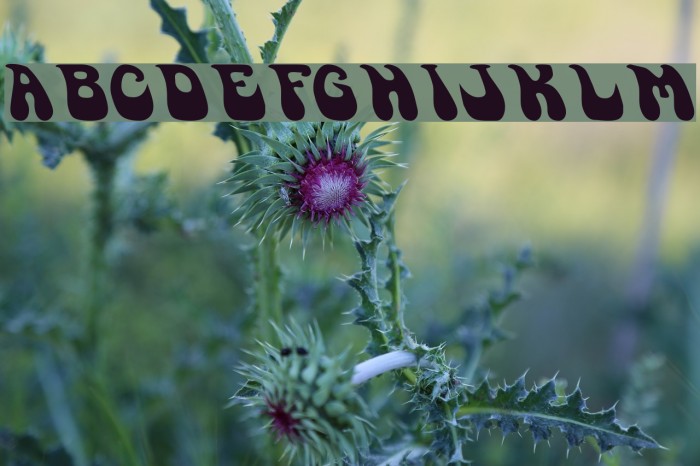 GoSoul Font examples