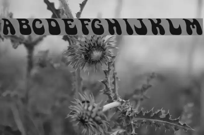 GoSoul Fonte examples