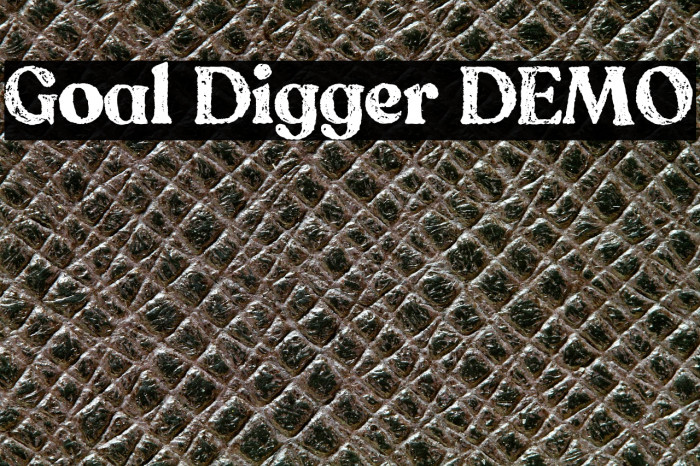 Goal Digger DEMO Example 3