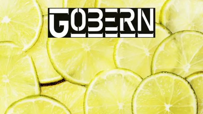 Gobern Example 1