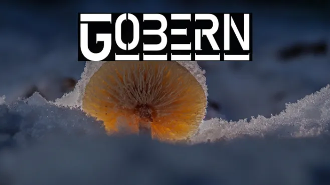 Gobern Example 2