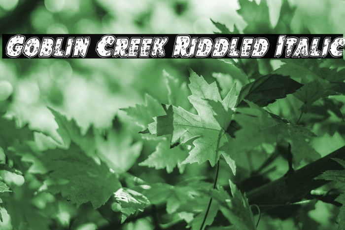 Goblin Creek Riddled Italic Font examples