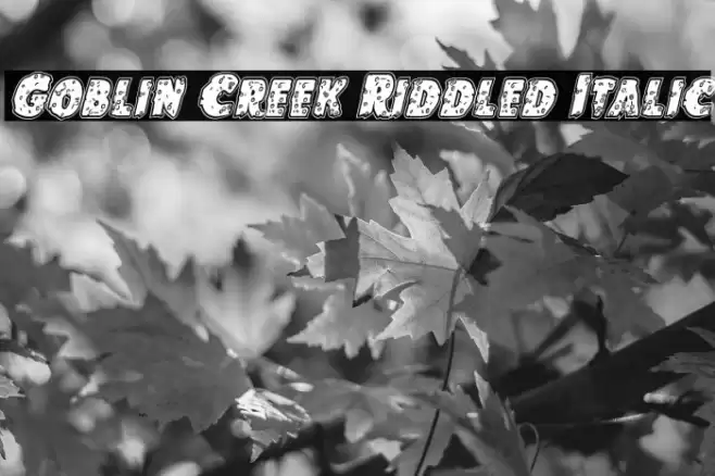 Goblin Creek Riddled Italic Fuentes examples