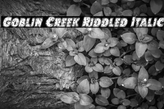 Goblin Creek Riddled Italic Fuentes examples