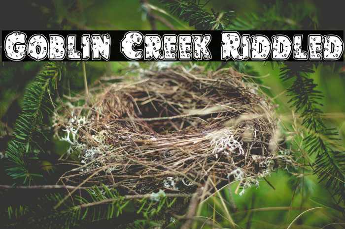 Goblin Creek Riddled Fuentes examples