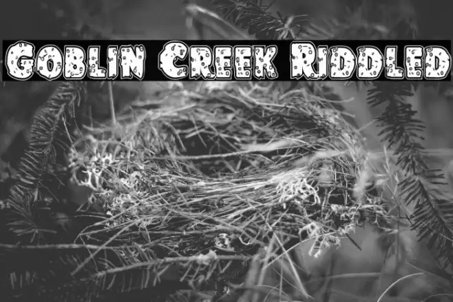 Goblin Creek Riddled Font examples