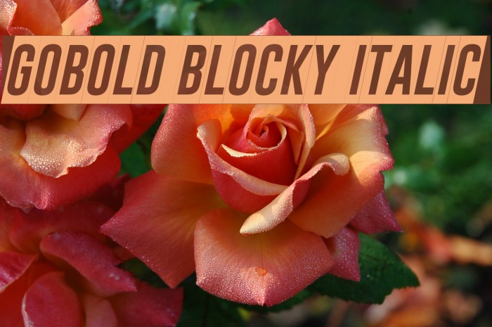 Gobold Blocky Italic Font examples