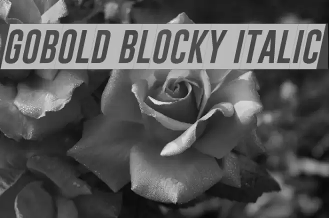 Gobold Blocky Italic Font examples