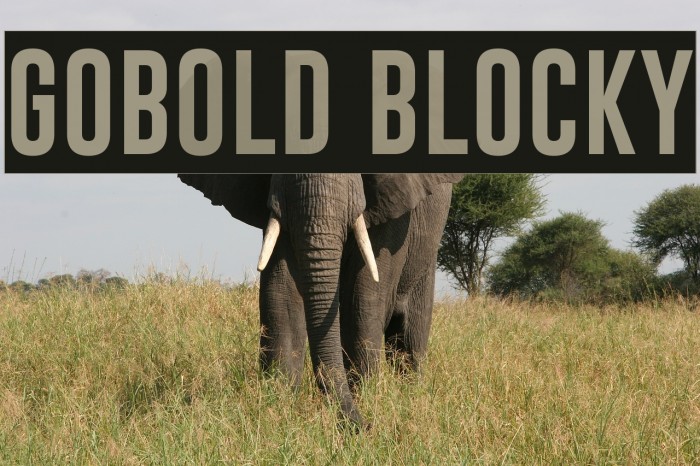 Gobold Blocky Schriftart examples