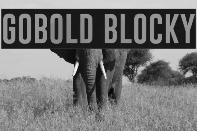 Gobold Blocky Шрифта examples