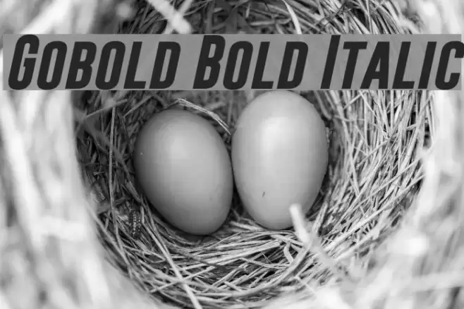 Gobold Bold Italic Font examples