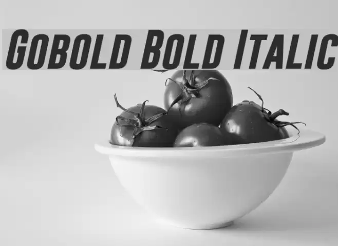 Gobold Bold Italic Font examples