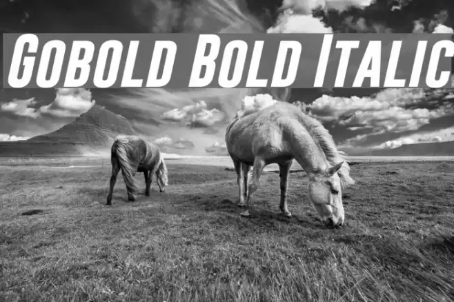 Gobold Bold Italic Font examples