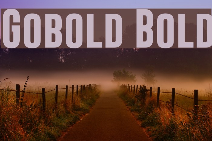 Gobold Bold Font examples