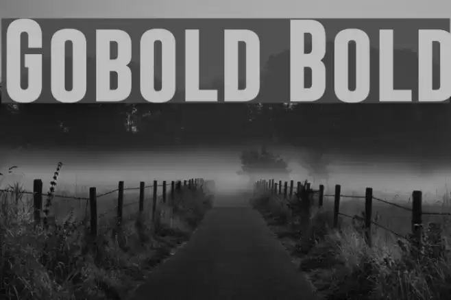 Gobold Bold Font examples