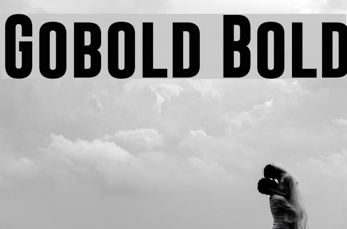 Gobold Bold Font examples
