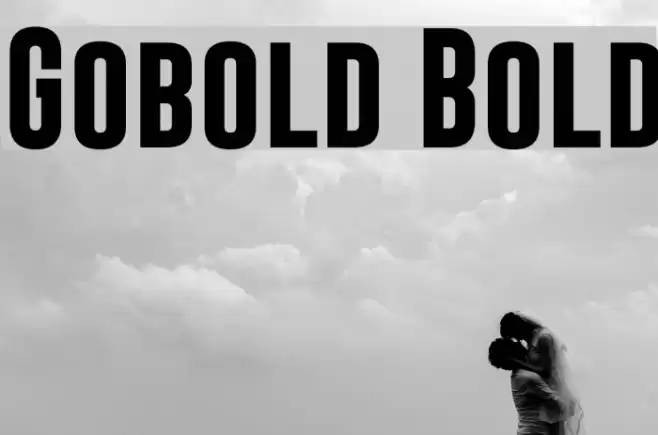 Gobold Bold Font examples