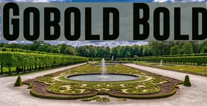 Gobold Bold Font examples
