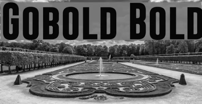Gobold Bold Font examples