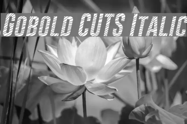 Gobold CUTS Italic Font examples