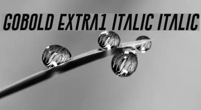 Gobold Extra1 Italic Italic Font examples